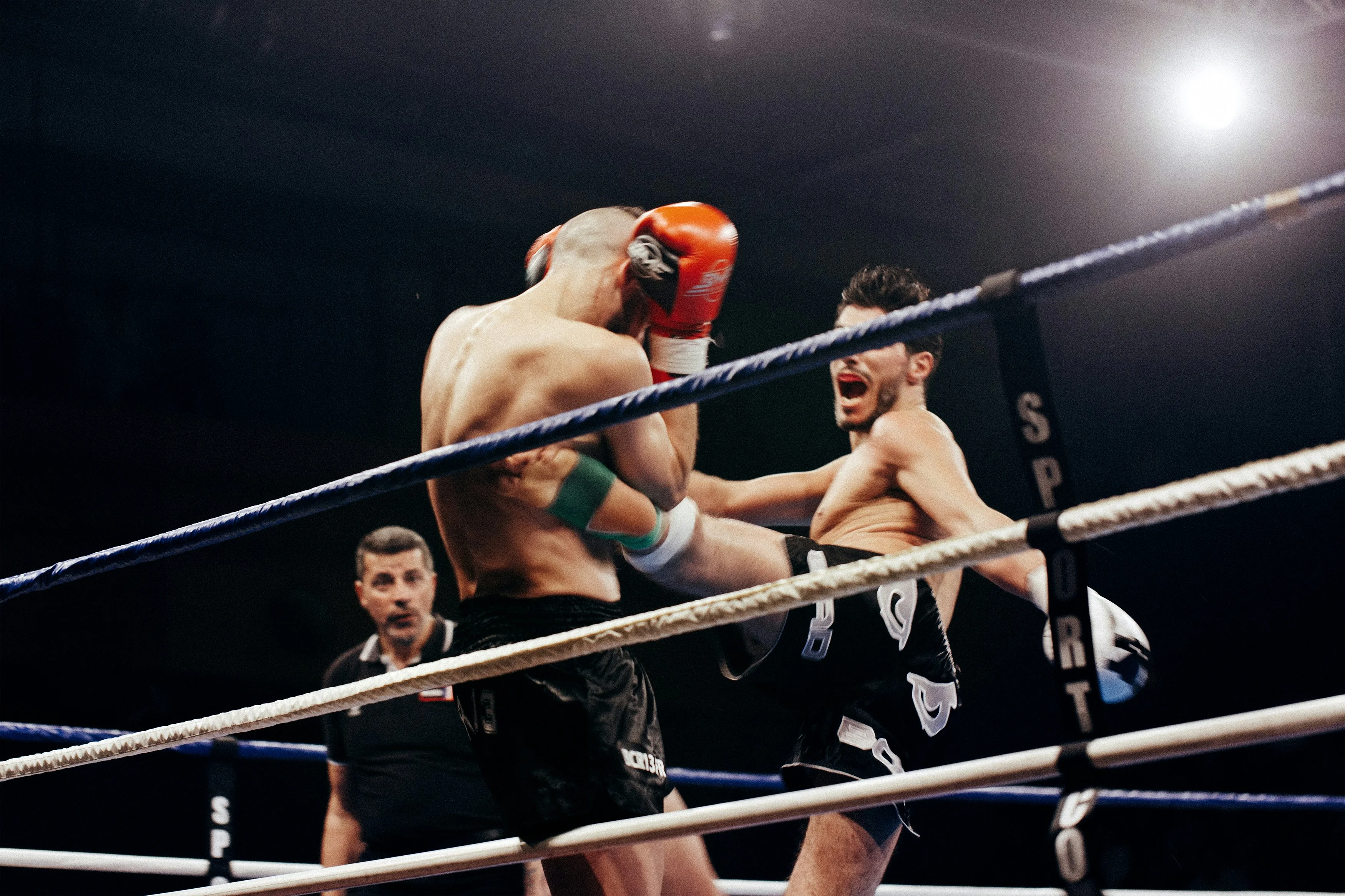 Combat sports