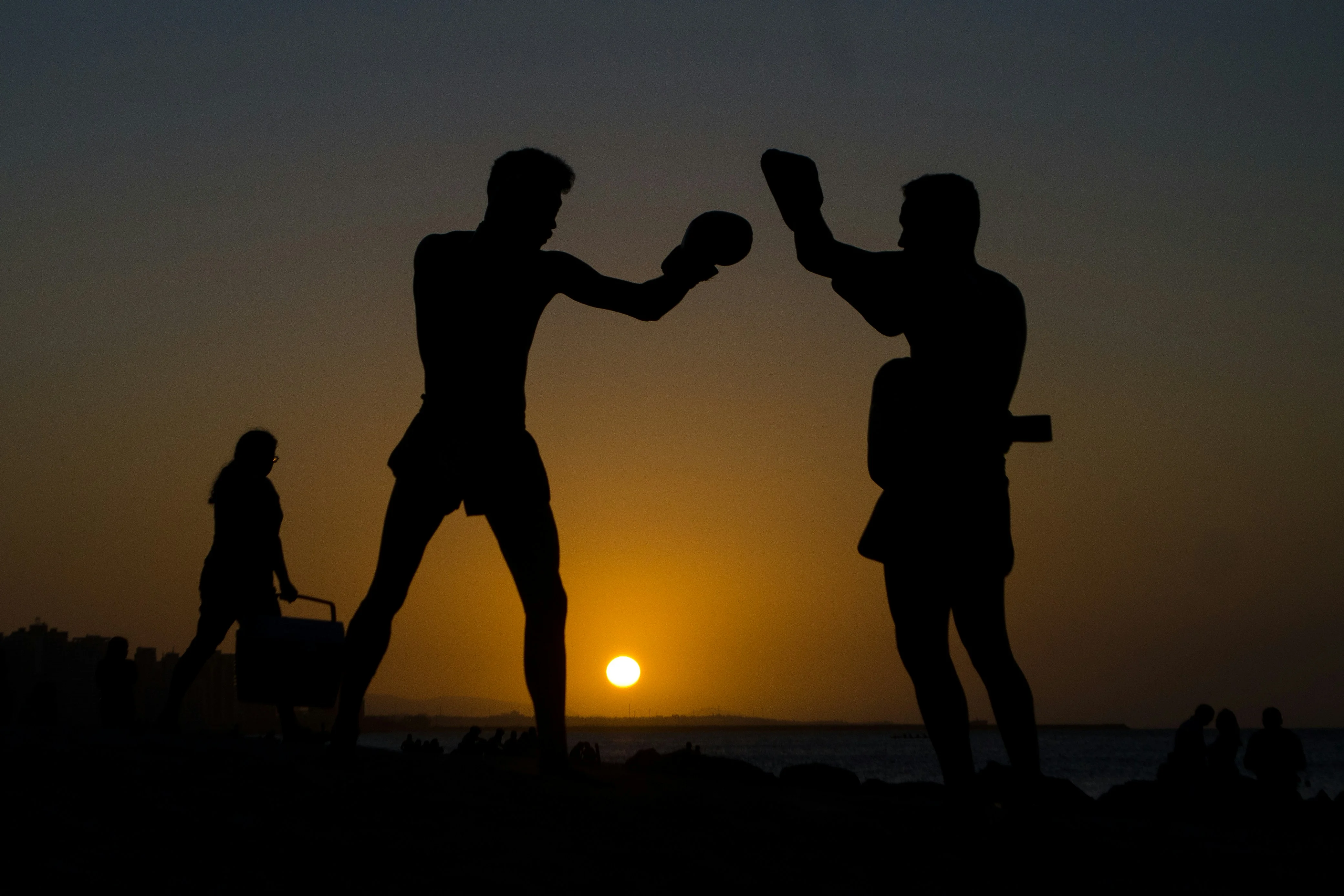 Combat sports